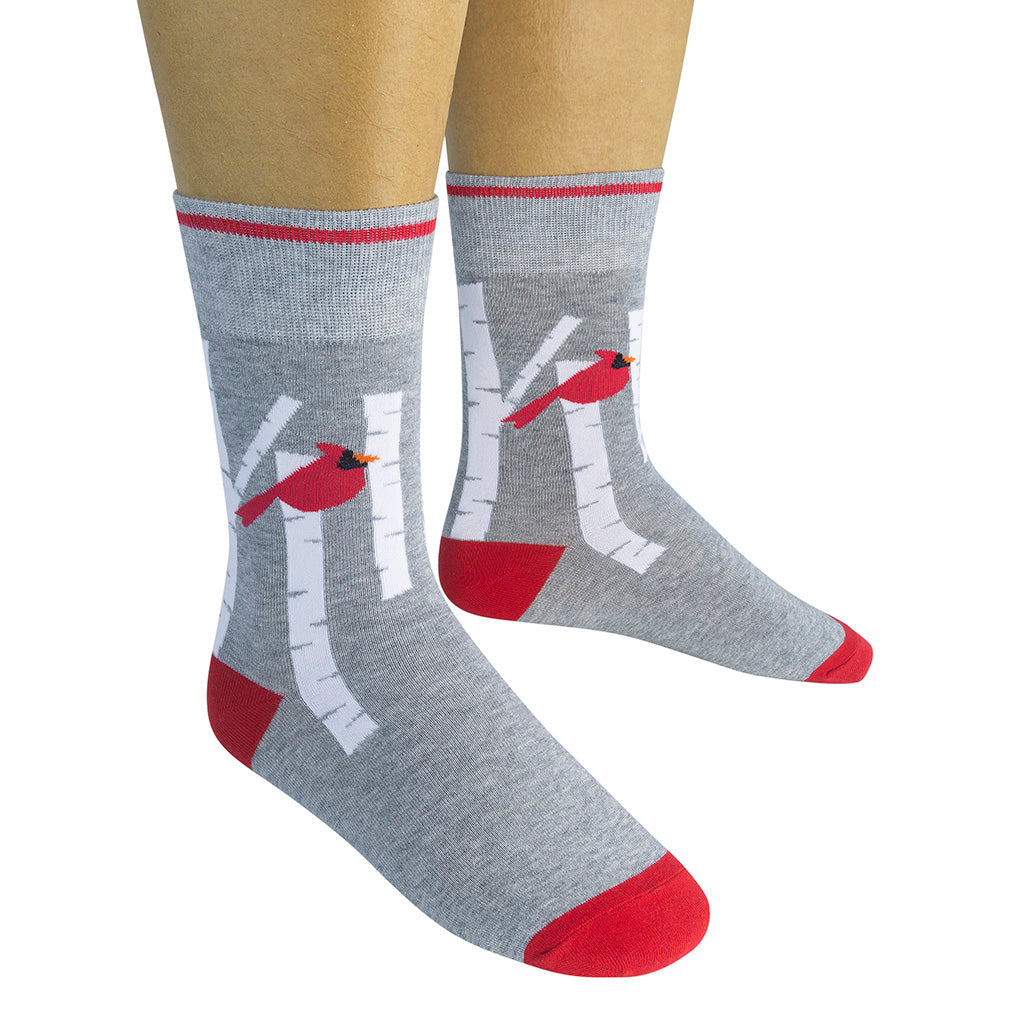 Birch and Cardinal Socks