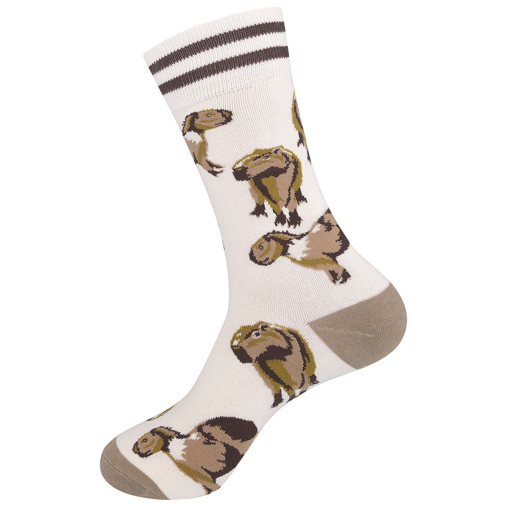 Capybara Socks