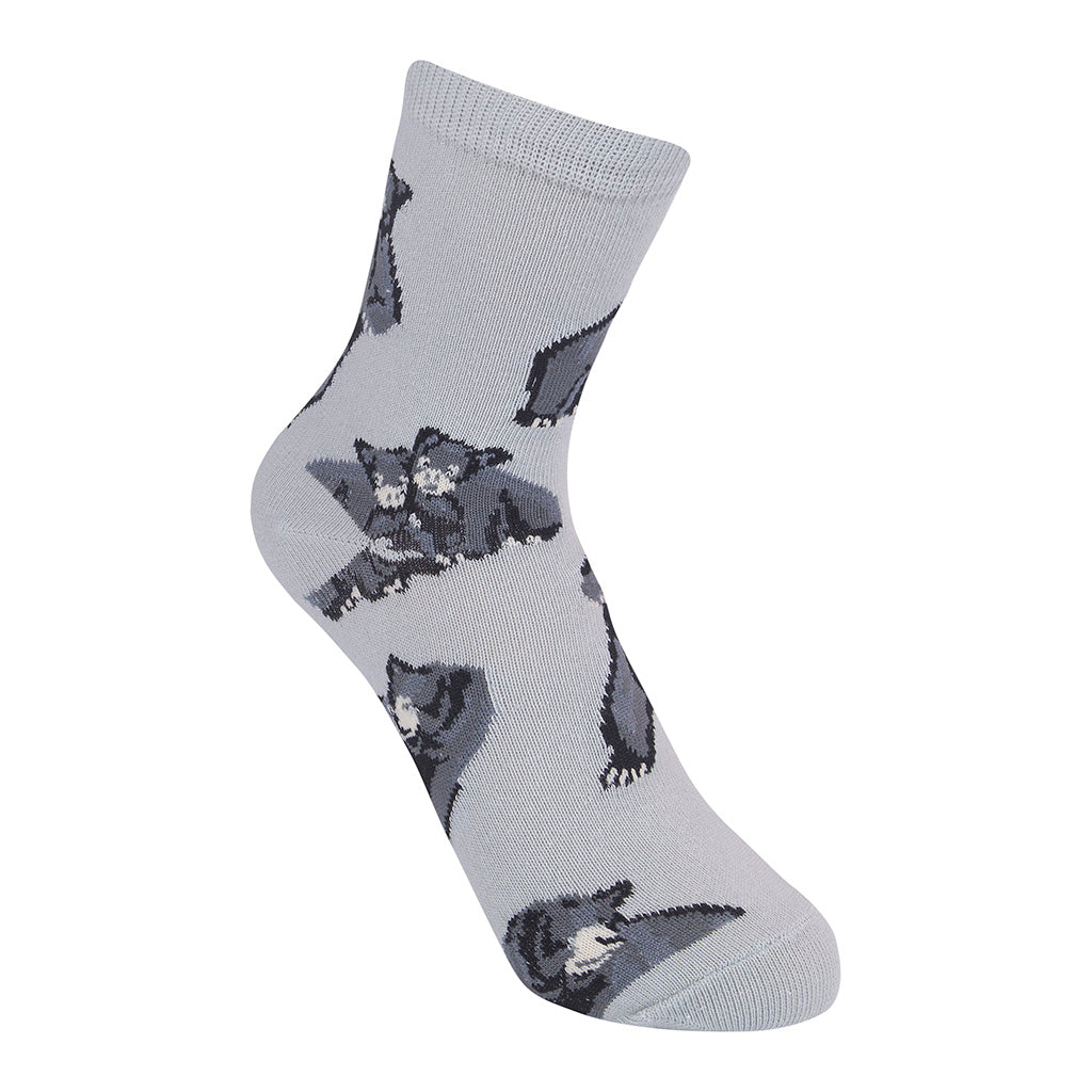 Black Bear Kids 7-10yrs Socks