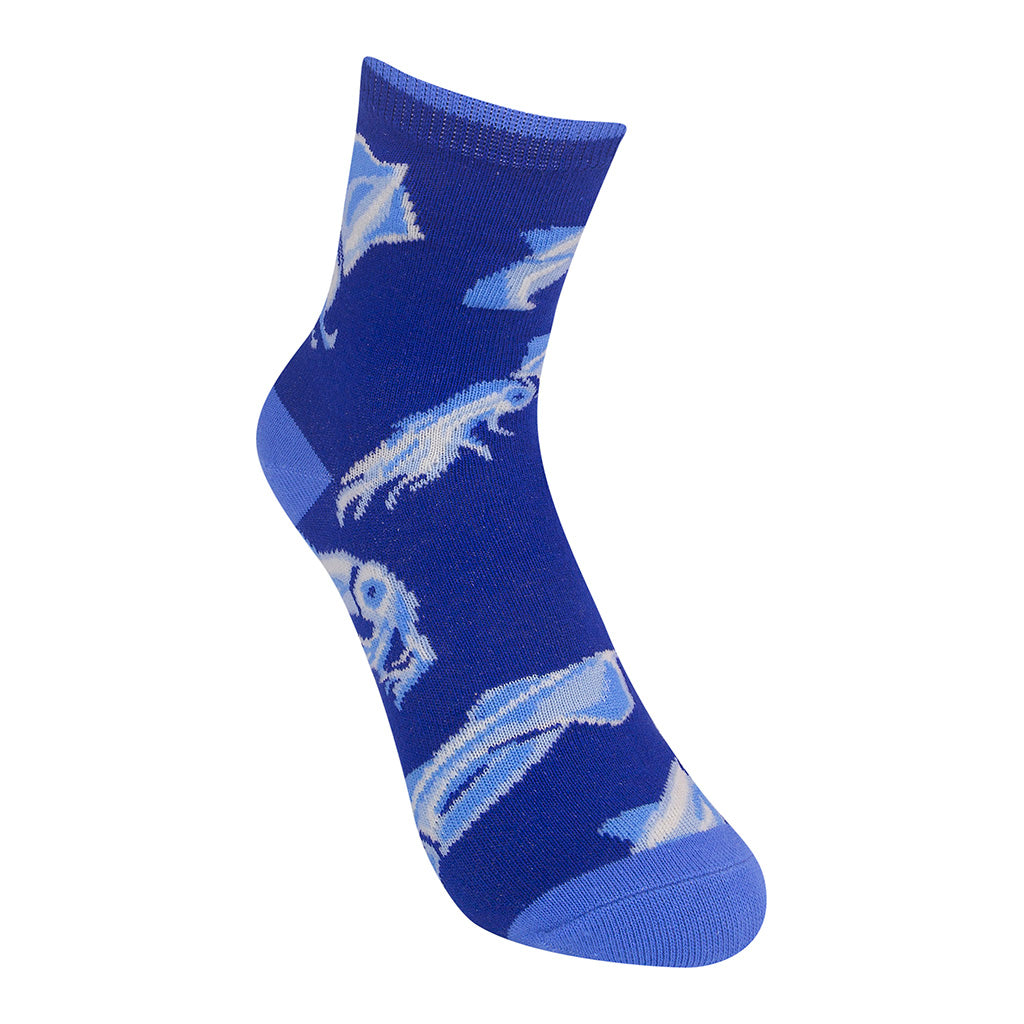 Squid Kids 7-10yrs Socks