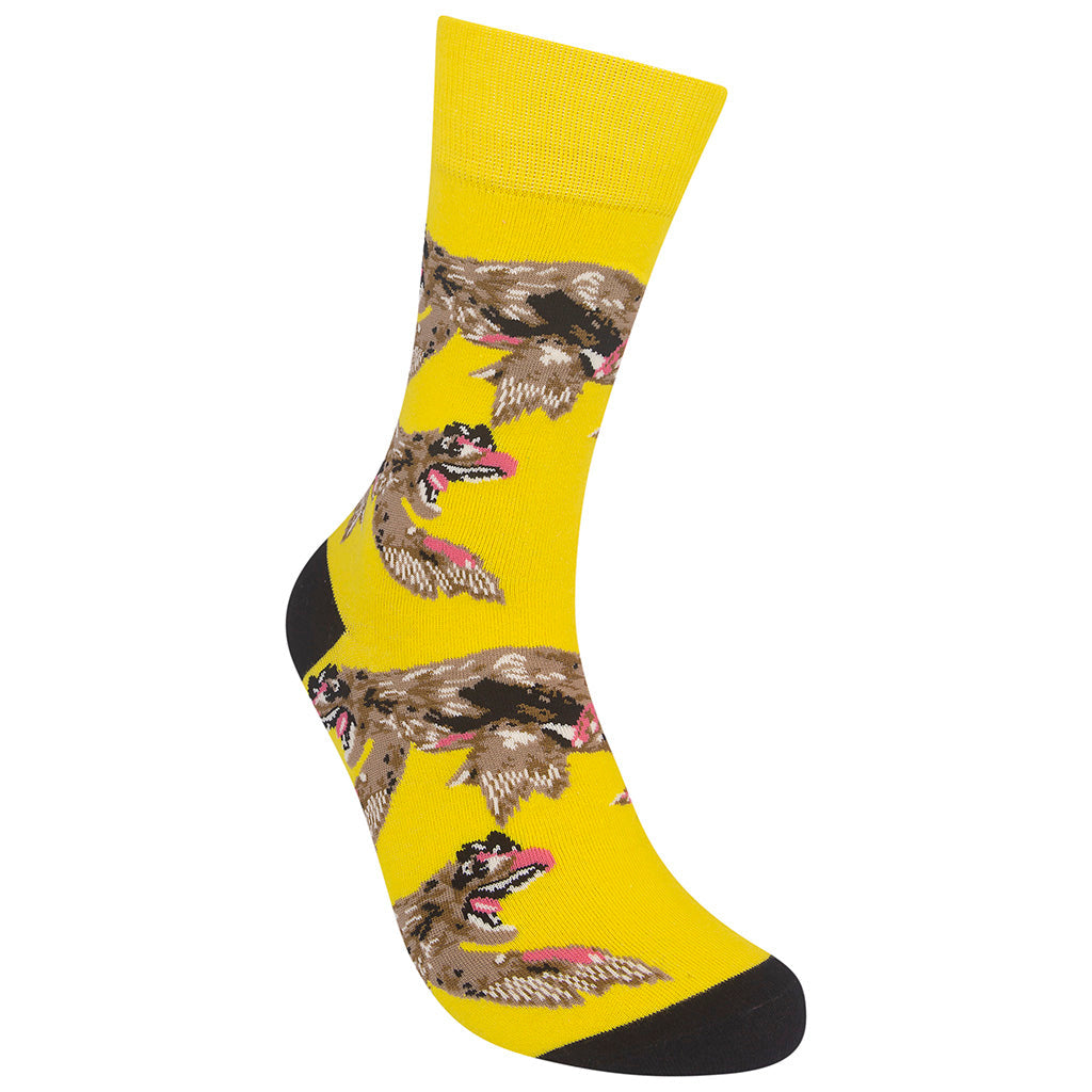 Velociraptor Socks
