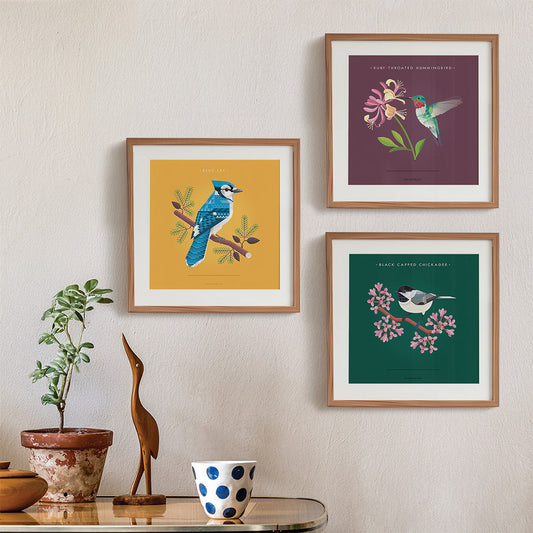 Ruby-throated Hummingbird