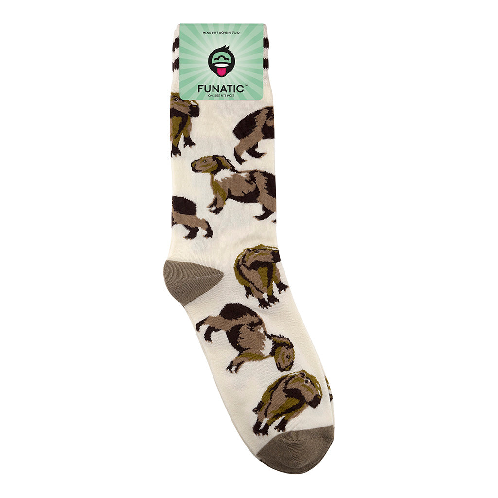 Capybara Socks