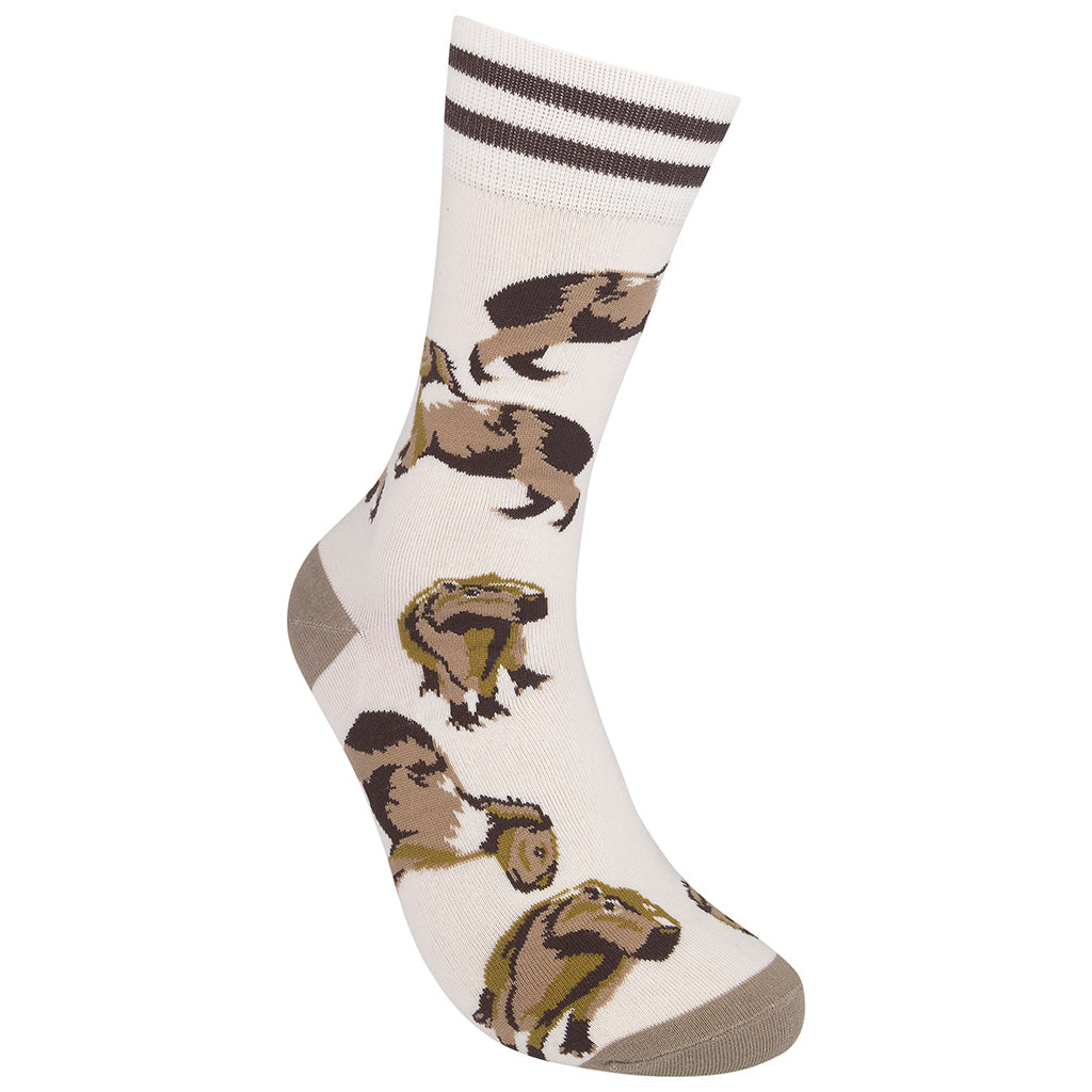Capybara Socks