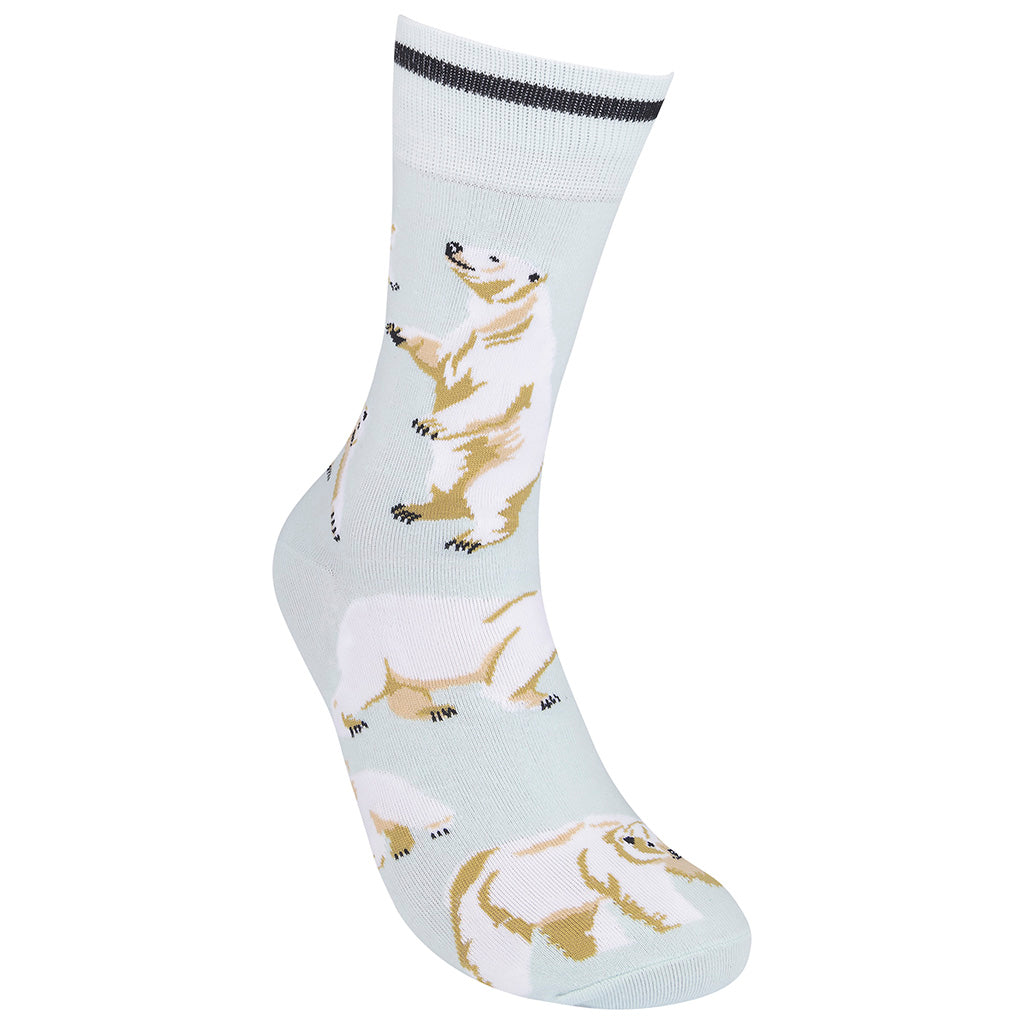 Polar Bear Socks