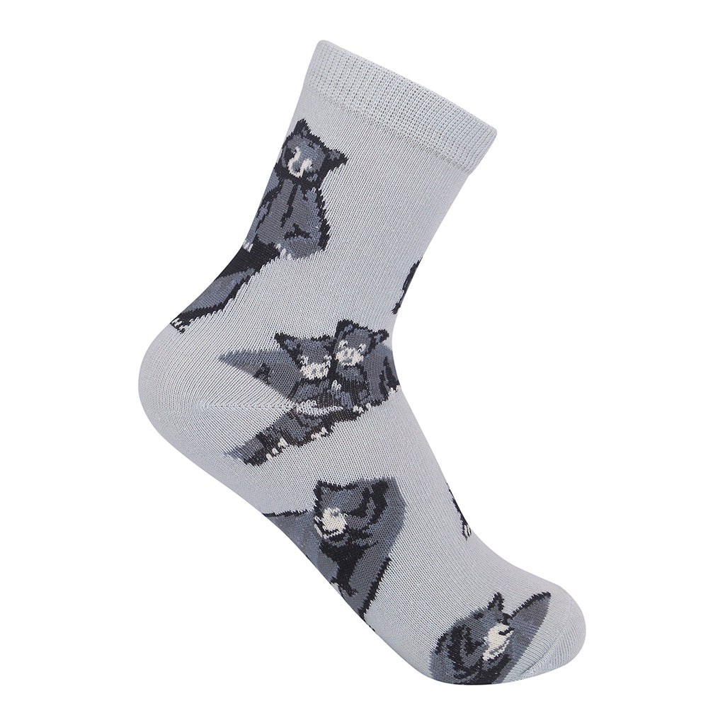 Black Bear Kids 7-10yrs Socks