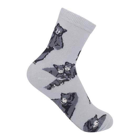 Black Bear Kids 7-10yrs Socks