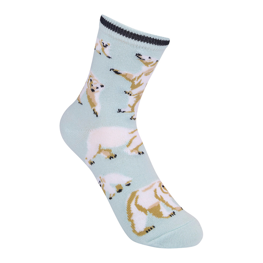 Polar Bear Kids 7-10yrs Socks
