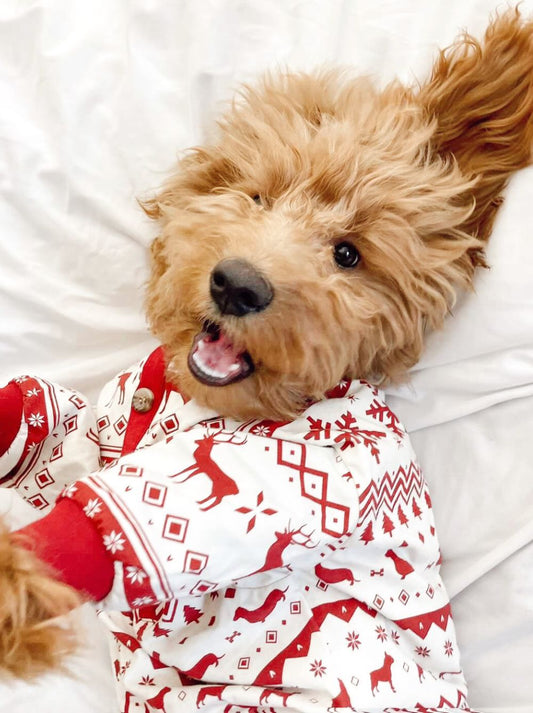 Festive Fam Holiday Pajama (Kid Sizes Only)