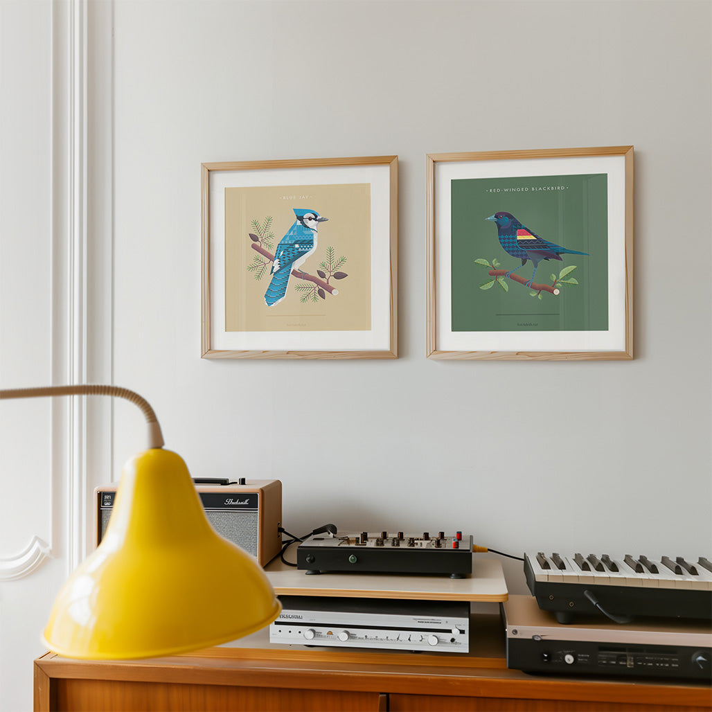 Red Winged Blackbird