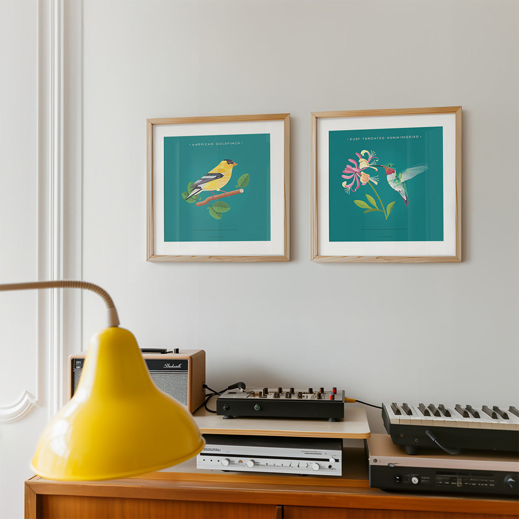 Ruby-throated Hummingbird