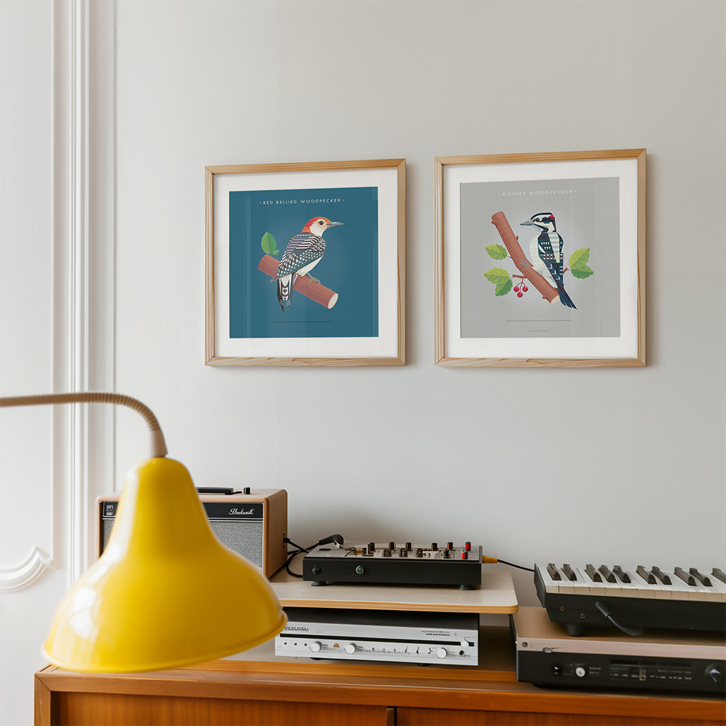 Red Bellied Woodpecker