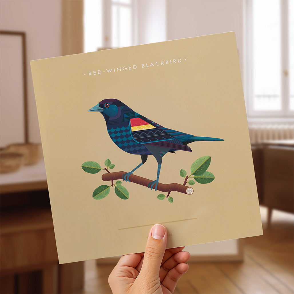 Red Winged Blackbird