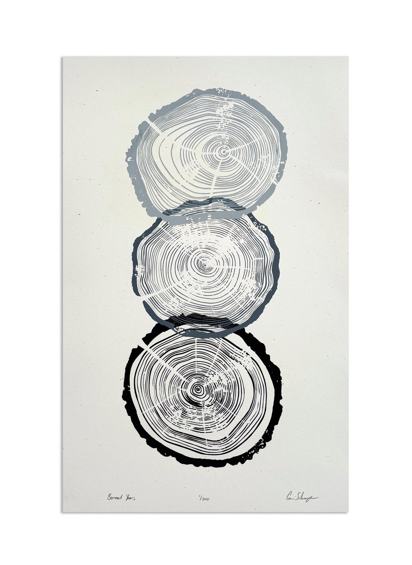 Boreal Years | 11x17 Silk Screen Print