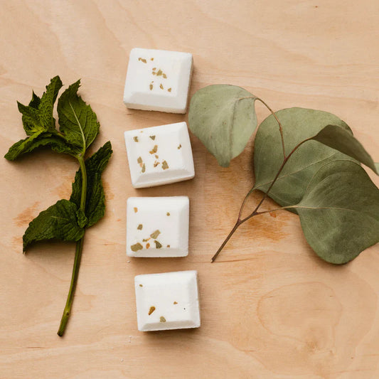 Eucalyptus Shower Steamers