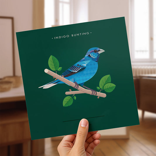 Indigo Bunting