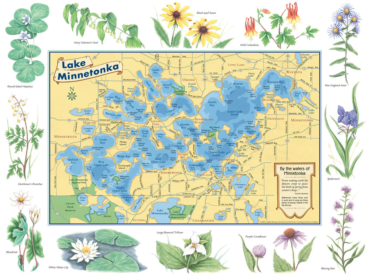 Lake Minnetonka Wildflowers