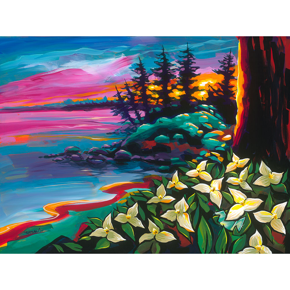 Sunlit Suntanned Trillium