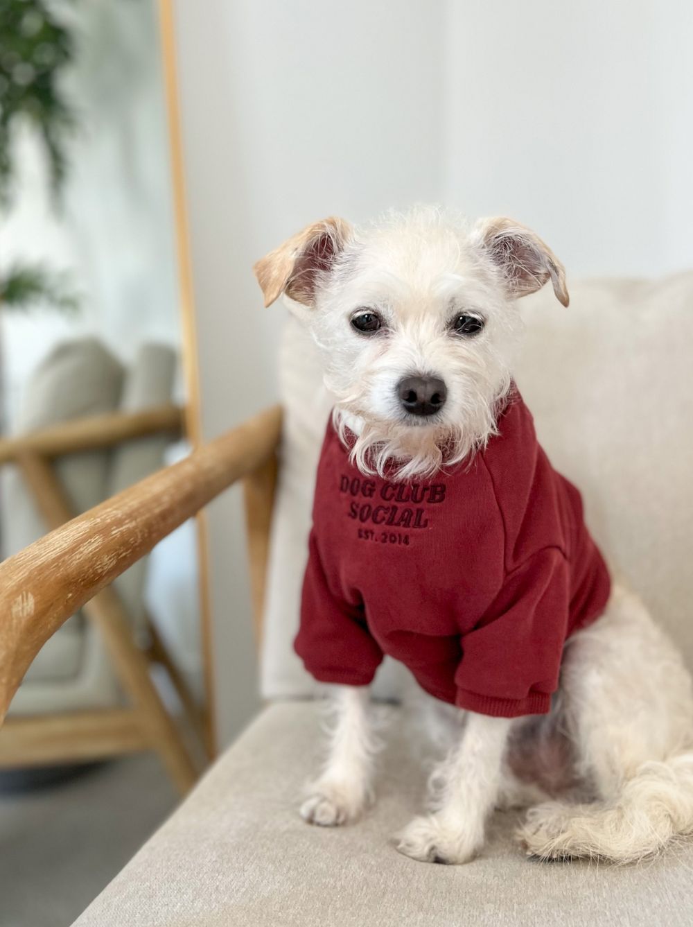 Terry Pullover