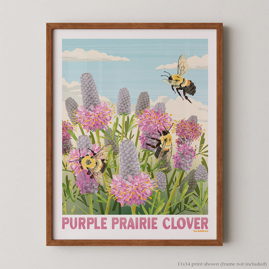 Purple Prairie Clover