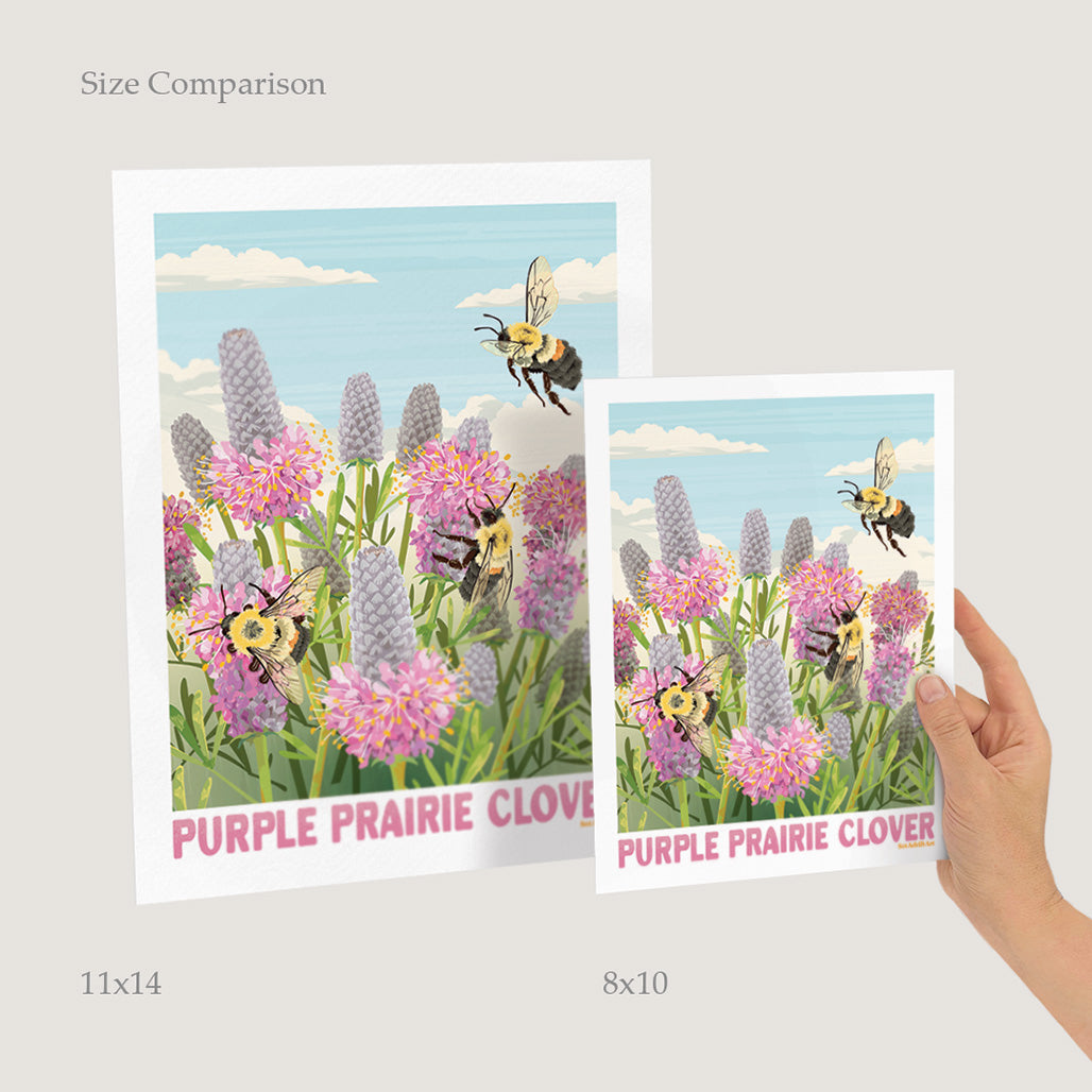 Purple Prairie Clover