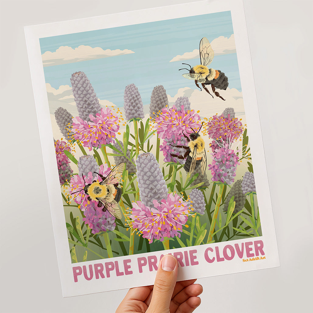 Purple Prairie Clover
