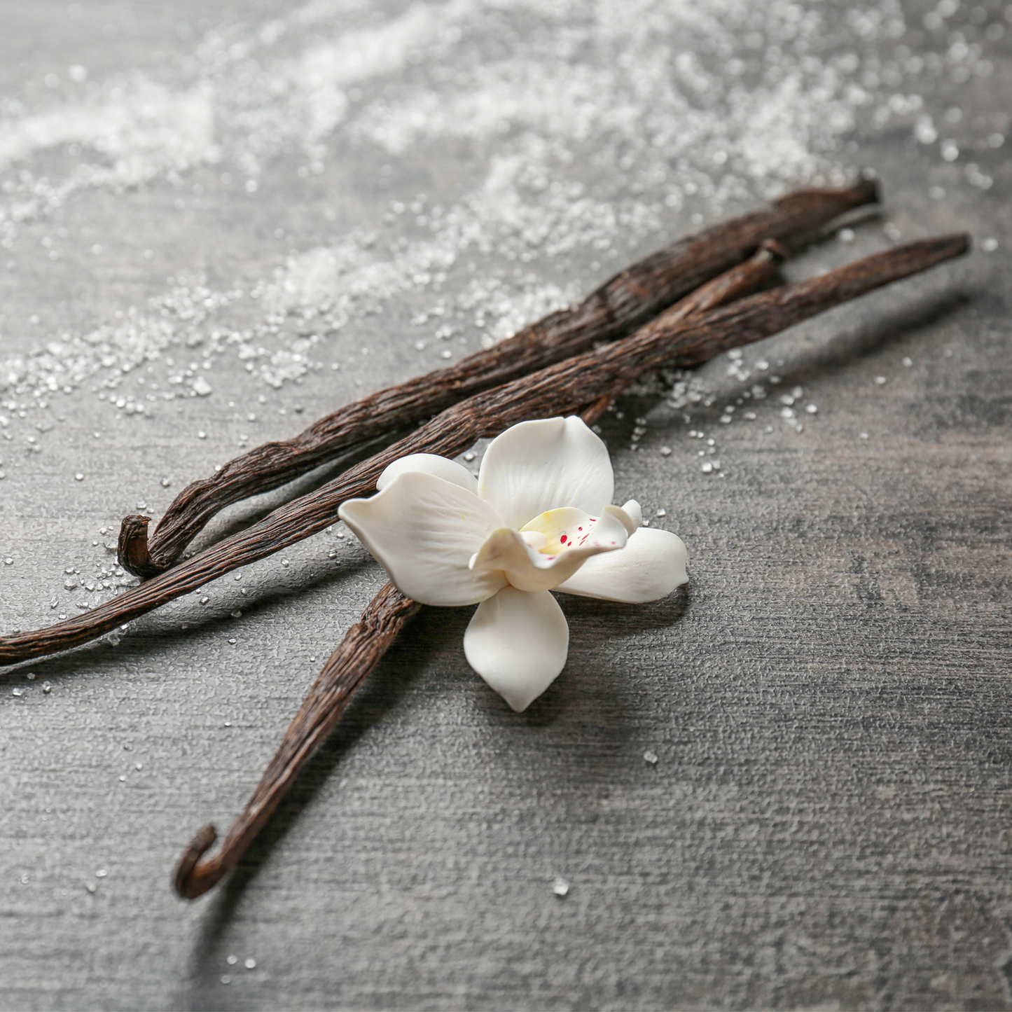 Santal 74 Soy Candle