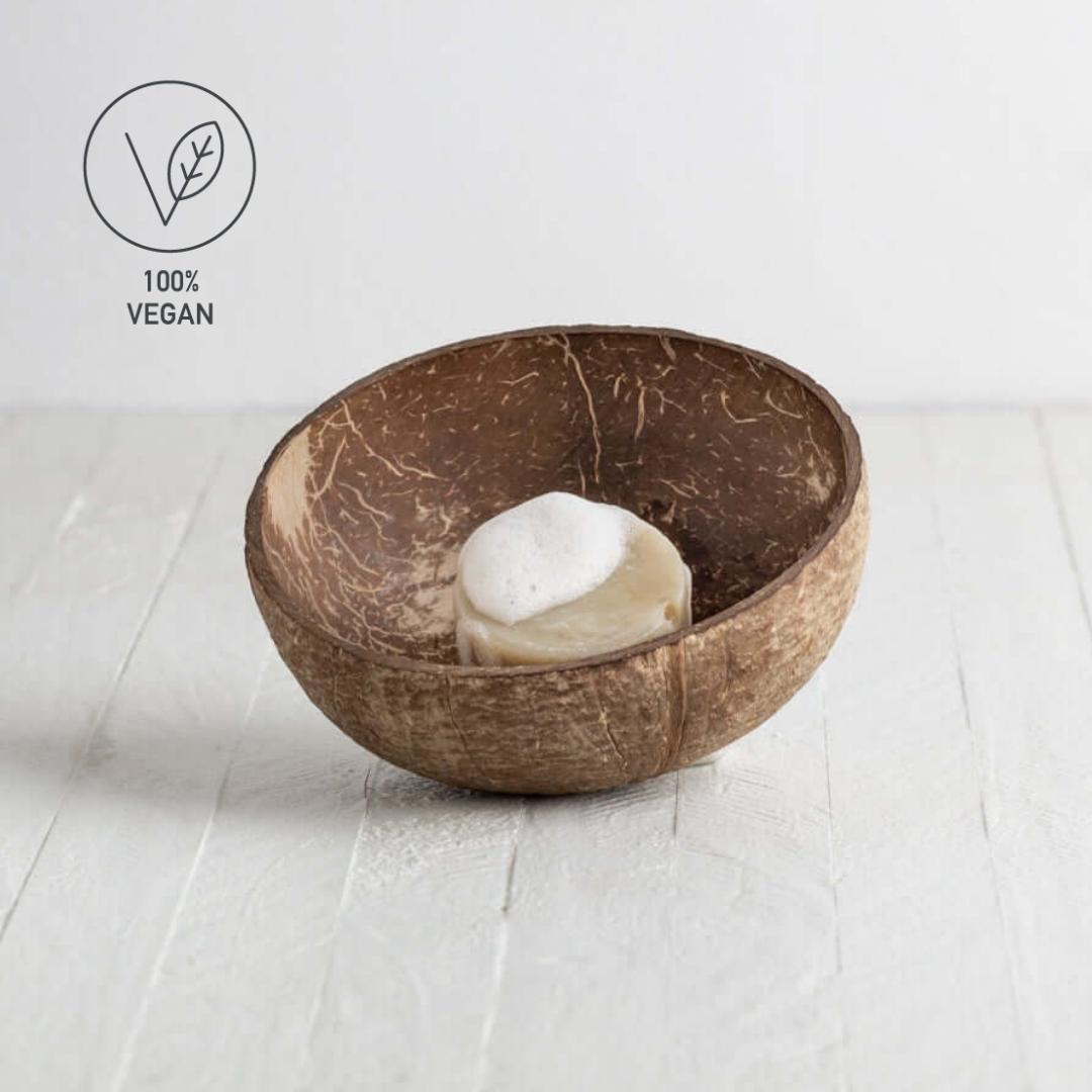 natural coconut shave bowl