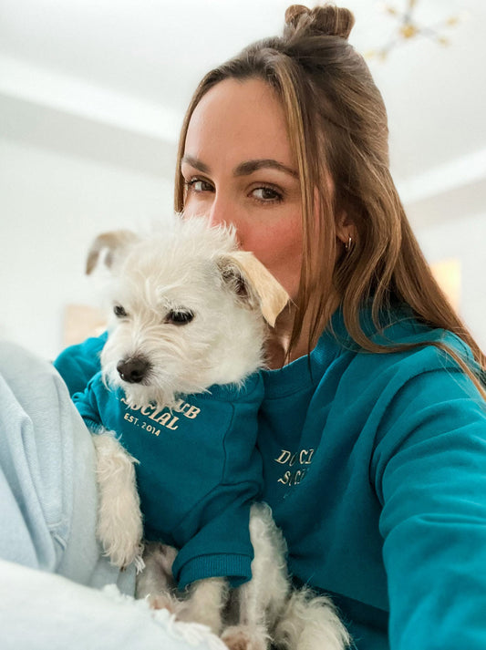Terry Pullover