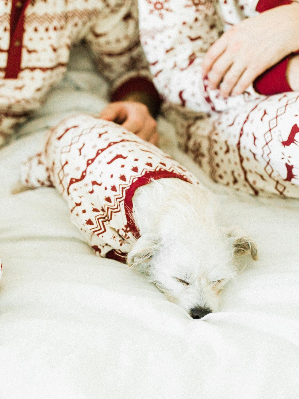 Festive Fam Holiday Pajama (Kid Sizes Only)