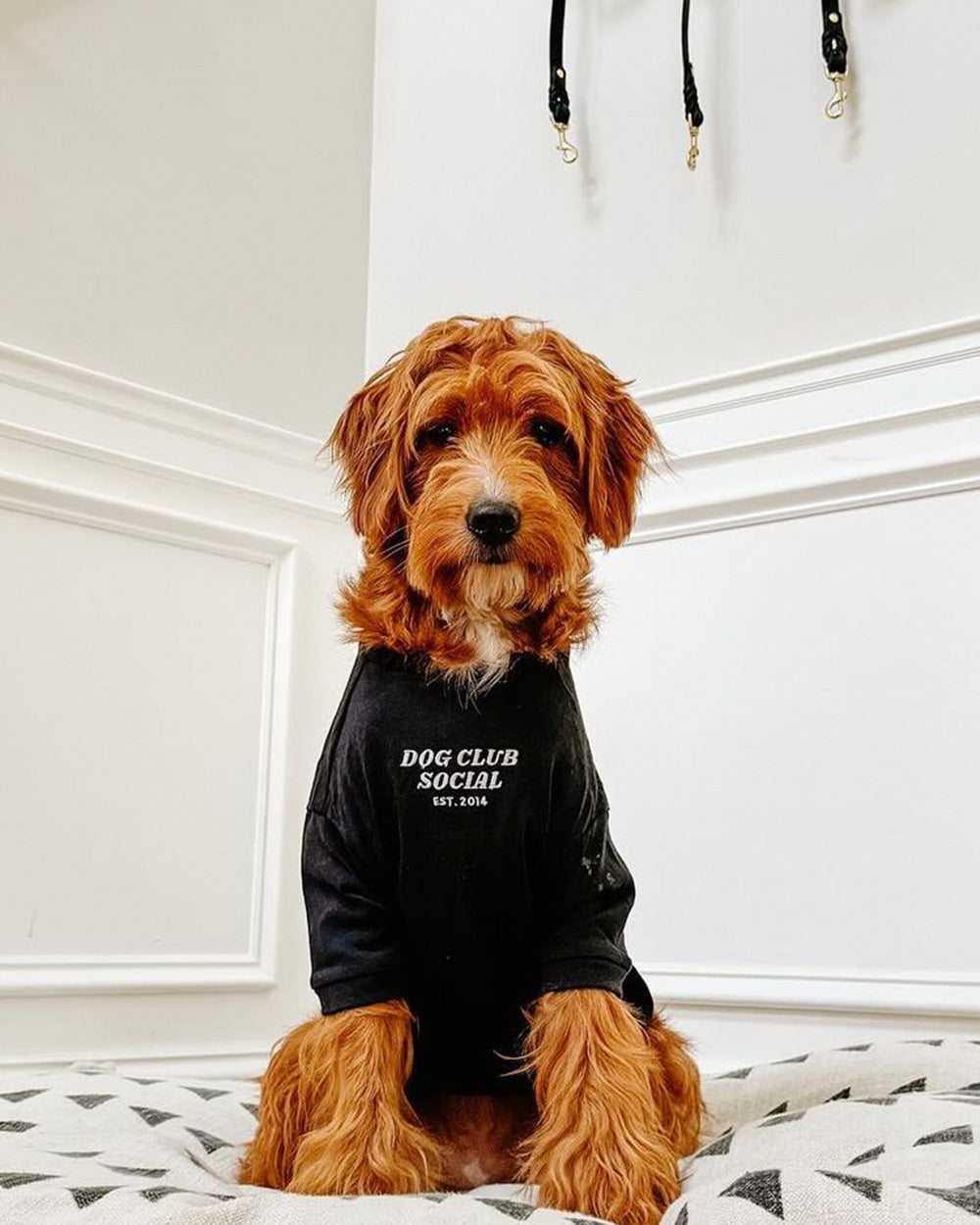 Embroidered Tee (Dog)